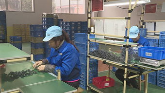 澤瀚實業 項目生產忙，平面設計鑄就品牌新篇章